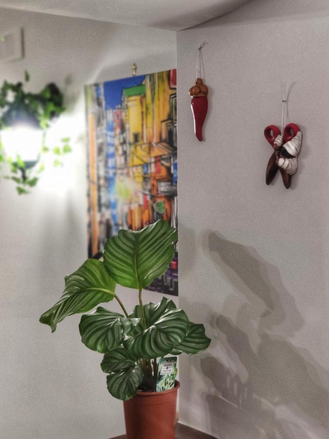 Apartament Gregorius Chiringuito Neapol Zewnętrze zdjęcie